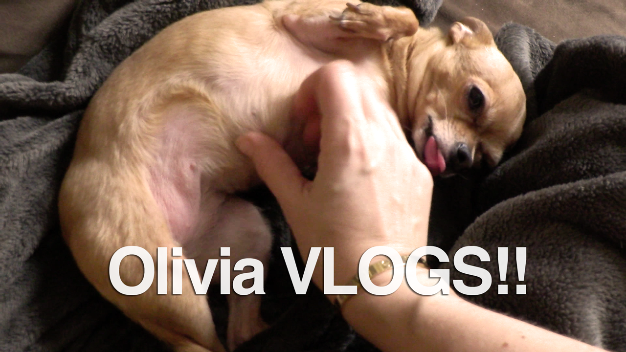 TWC-Vlog
